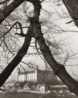 Pohľad na hrad z Petržalky - 1968    /od 40x60cm